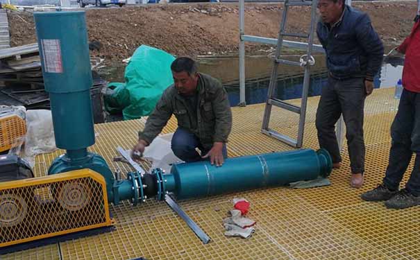 羅茨91视频APP下载安裝與調試