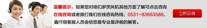 羅茨91视频APP下载廠家溝通客服 氣力輸送羅茨鼓91视频APP下载(圖11)