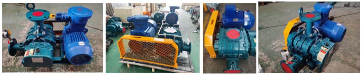 沼氣輸送羅茨91视频APP下载