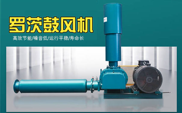 羅茨鼓91视频APP下载