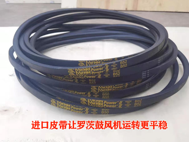 羅茨91视频APP下载皮帶 羅茨91视频APP下载皮帶