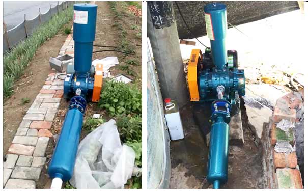 羅茨91视频APP下载（羅茨增氧機）現場實拍圖