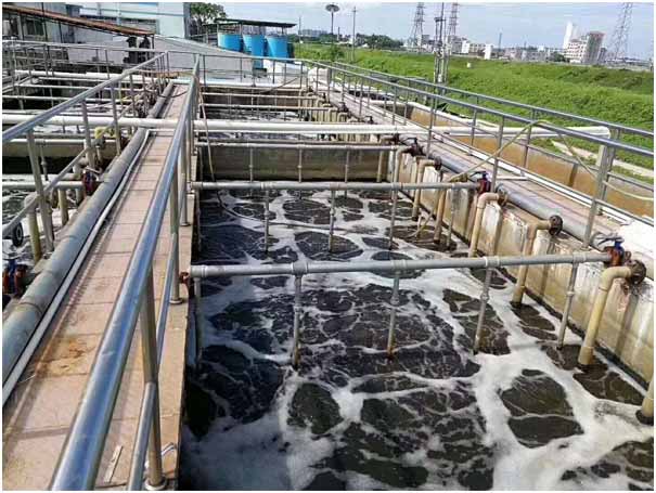 三葉羅茨鼓91视频APP下载曝氣