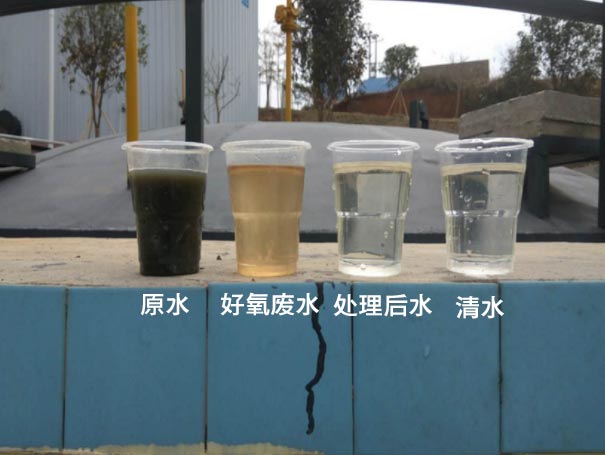 汙水曝氣羅茨鼓91视频APP下载應用案例 汙水曝氣羅茨鼓91视频APP下载應用案例