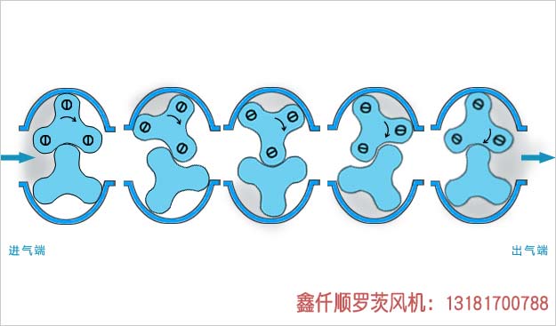 羅茨91视频APP下载工作原理 羅茨91视频APP下载工作原理