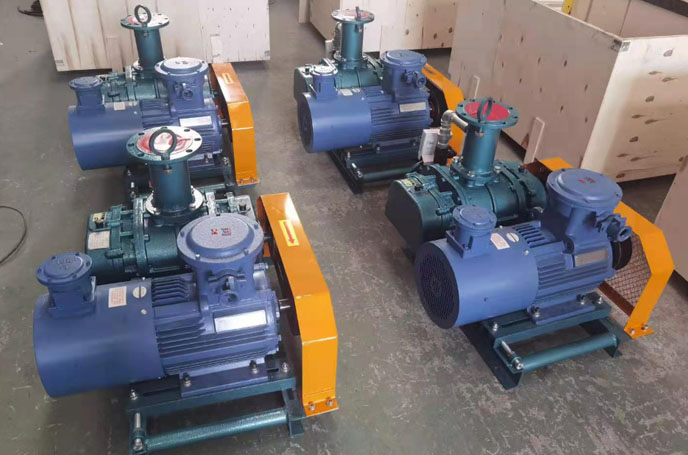 沼氣輸送羅茨91视频APP下载