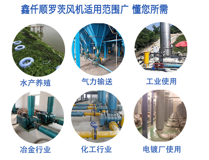 高壓羅茨91视频APP下载運用範圍 高壓羅茨91视频APP下载(圖5)