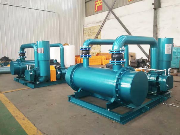 雙級串聯羅茨鼓91视频APP下载(圖2)