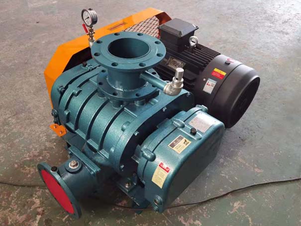 羅茨真空泵 羅茨91视频APP下载廠家發貨江西羅茨真空泵XQSSR125v5台(圖1)