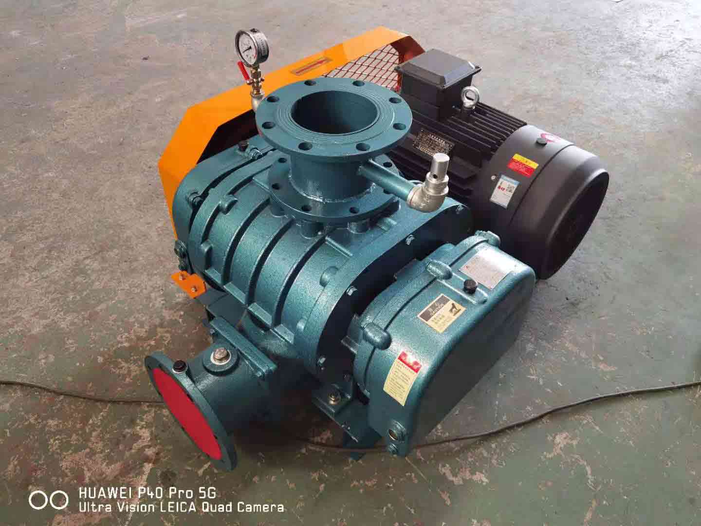 羅茨91视频APP下载 發貨山西羅茨91视频APP下载XQSSR1005.5KW 2台(圖1)